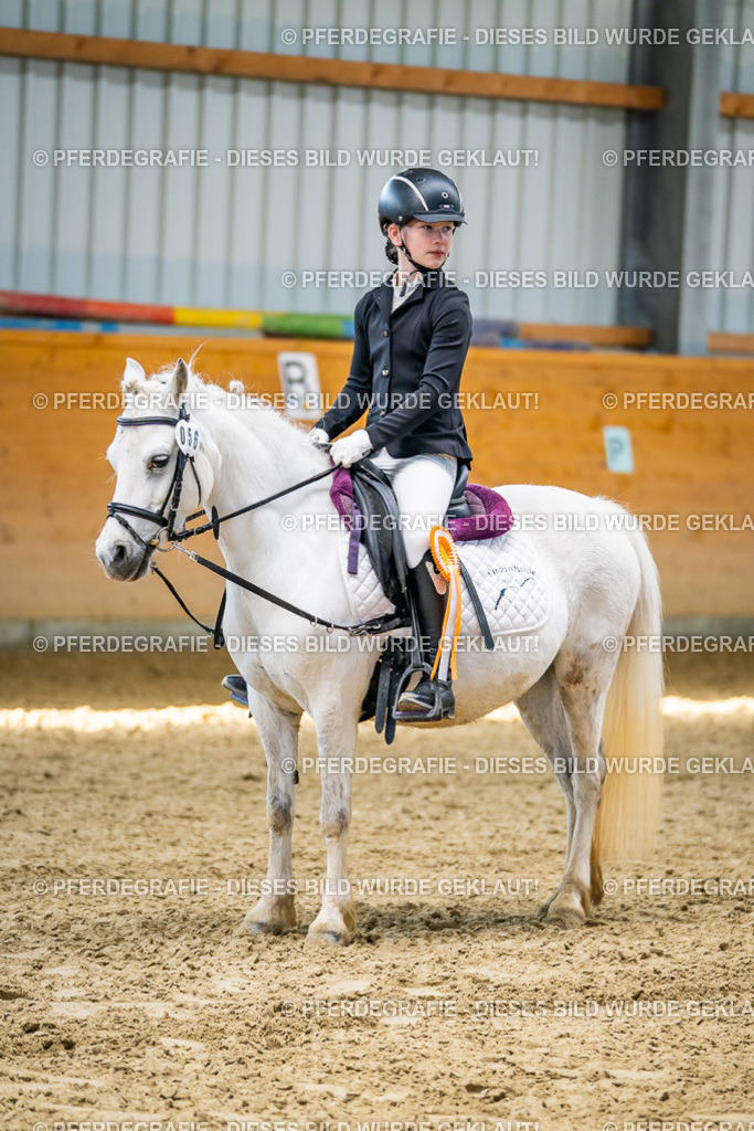 DSC02737 | Pferdegrafie