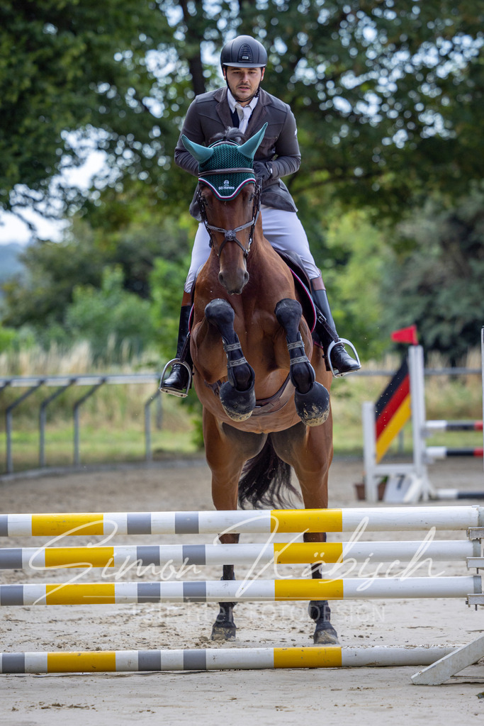 20260704-_3LI6370 | Tierfotografie Pferde, Hunde, Katzen, Haustiere.
Turnierfotografie Reitturniere, Reiten, Springreiten, Dressur in Hanau, dem Main-Kinzig-Kreis und dem Rhein-Main- Gebiet um Frankfurt