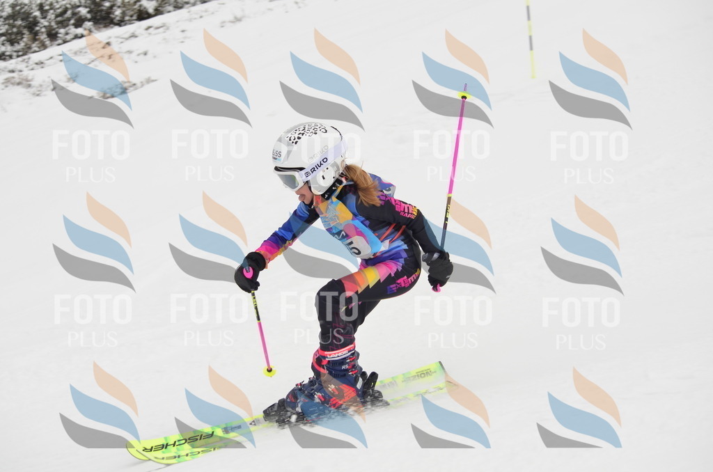 C1340 | holidayphoto