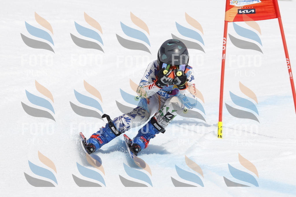 _U3G2668 | holidayphoto