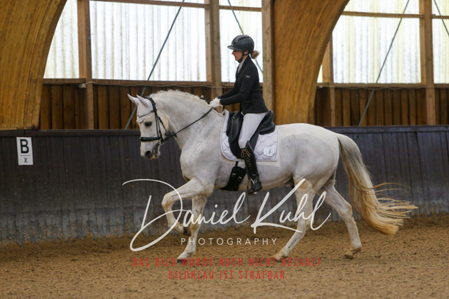 IMG_0105 | Turniersportfotografie; Pferdefotografie; Dressurfotografie