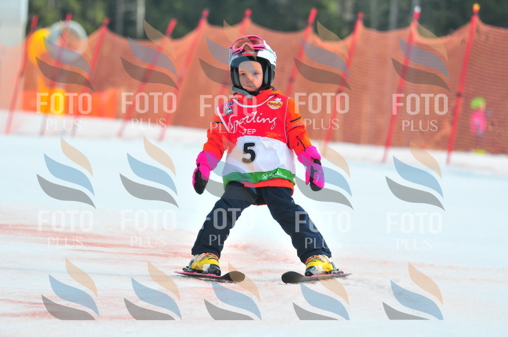 C0819 | holidayphoto