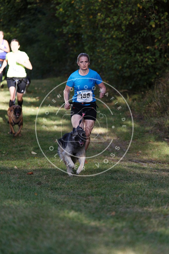 0L8A5194 | Hundefotografie, Tierfotograf, Pfotenfotografie, Fotoshooting Hund, Hunde Portrait, Hundesport, Hundeportraits, Heideshooting, Hunde, Sportfotograf, Hundefotograf, Turnierhundsport, THS,  - Realisiert mit Pictrs.com