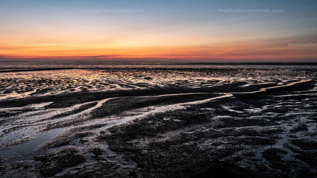 DSC_7410 | invaluablemoments.com - Realisiert mit Pictrs.com