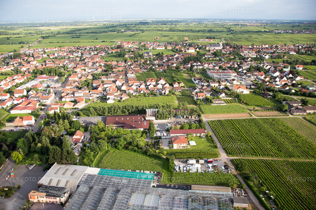 Luftbild: Ortsteil Eckel in Edesheim im Bundesland Rheinland-Pfalz in Deutschland. Foto: IMG_090138.jpg vom 26.06.2016 durch Werner Riehm/FLY-FOTO.de