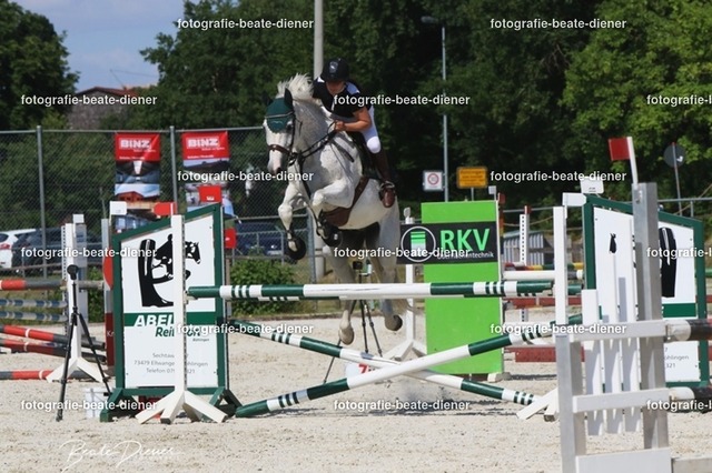 Zeit L (36) | Fotografie, Tiere, Hunde, Katzen, Pferde, Sportfotografie, Fotosession, Tierfotografie, Turnierfotografie, Fotografin, Fotograf - Realisiert mit Pictrs.com