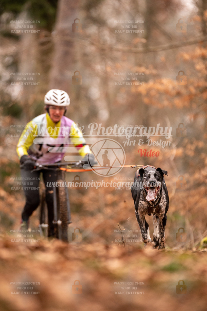 AKM_ST_2023_SAM_Scooter-45 | PayLife