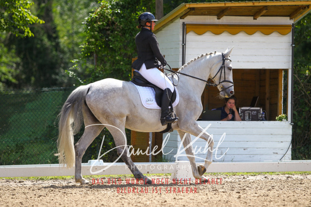 DKP42529 | Turniersportfotografie; Pferdefotografie; Dressurfotografie