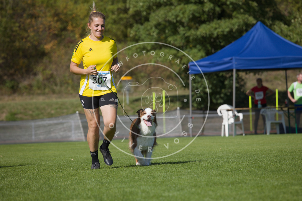 0L8A8201 | Hundefotografie, Tierfotograf, Pfotenfotografie, Fotoshooting Hund, Hunde Portrait, Hundesport, Hundeportraits, Heideshooting, Hunde, Sportfotograf, Hundefotograf, Turnierhundsport, THS,  - Realisiert mit Pictrs.com