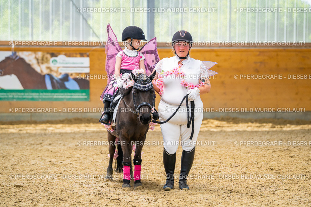 DSC00214 | Pferdegrafie