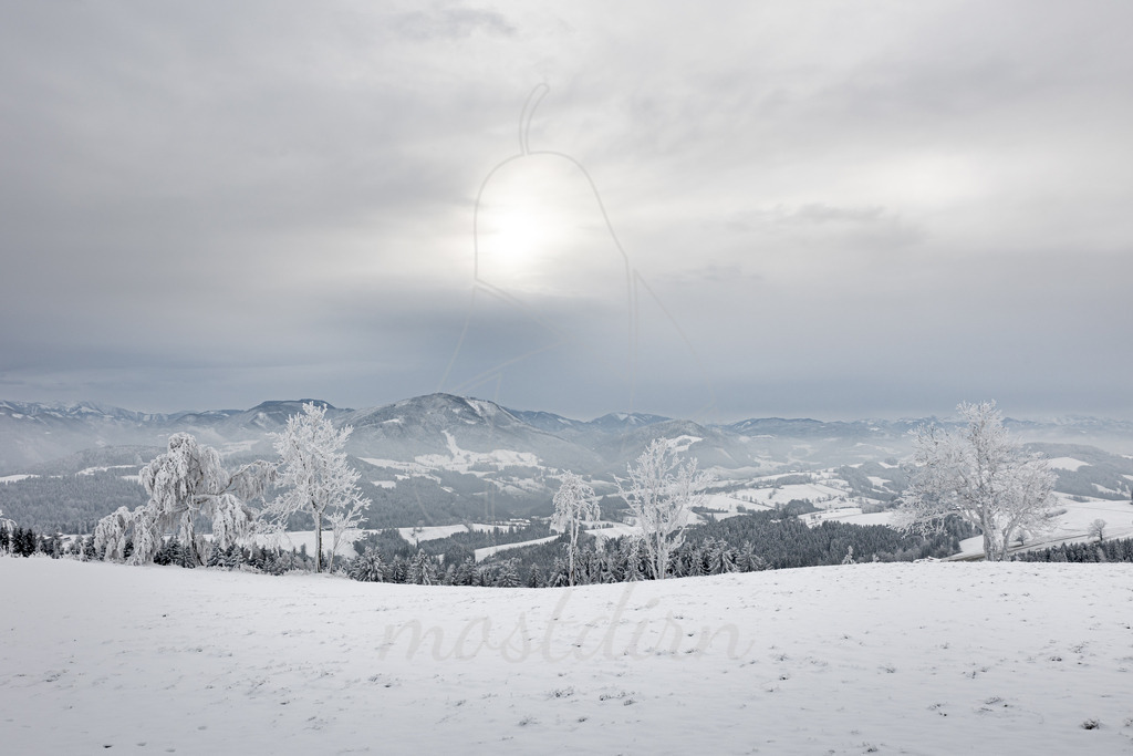 Franzenreith Frost  | Ihre Fotografin im Lungau, ihre Fotografin im Mostviertel, Wandbilder Onlineshop, Imagefotos für Ihr Unternehmen,  - Realisiert mit Pictrs.com