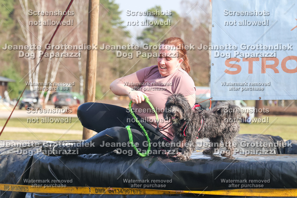 Dog Paparazzi - Strongdog North Mrz26-2167 | Dog Paparazzi Jeanette Grottendiek Fotografie & Videografie - Realisiert mit Pictrs.com