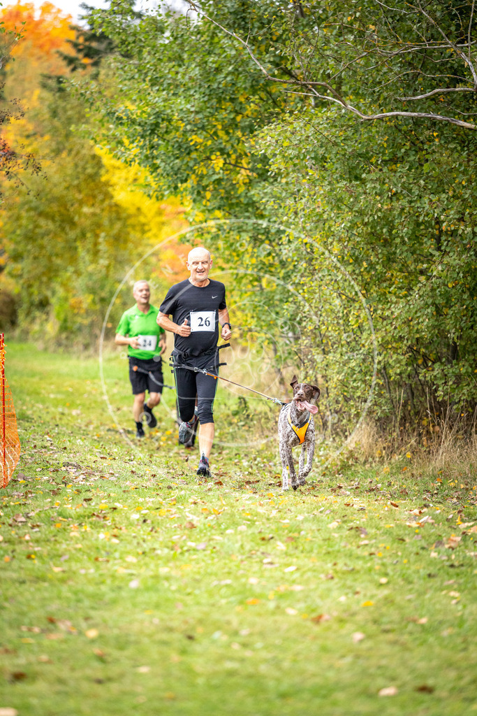 Pfotenfotografie_DV3A1993 | Hundefotografie, Tierfotograf, Pfotenfotografie, Fotoshooting Hund, Hunde Portrait, Hundesport, Hundeportraits, Heideshooting, Hunde, Sportfotograf, Hundefotograf, Turnierhundsport, THS,  - Realisiert mit Pictrs.com