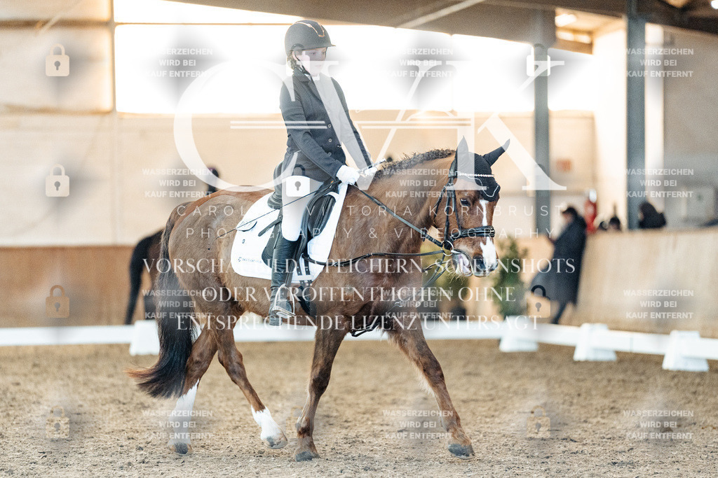 CK907045 | Turnierfotografie Pferdefotografie Trier Rheinland-Pfalz Pferdesport Reitsport Tierfotografie Sportfotografie Pferdevideo Pferdevideografie Equestrianvideography equestrianphotography  - Realized with Pictrs.com