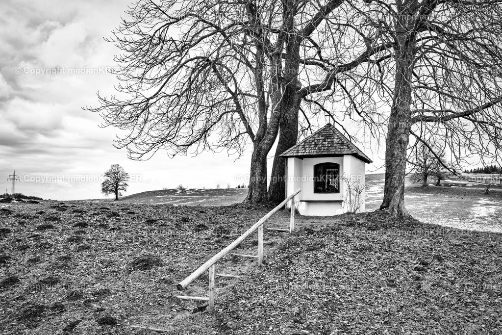 _J3A0135 | medienkrizzler - Realisiert mit Pictrs.com