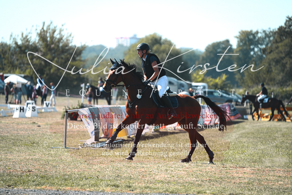 DSC_7867 | Pferde- und Turnierfotografie in Westsachsen. Pferdeportraits, Auftragszeichnungen und intuitive Kunst.