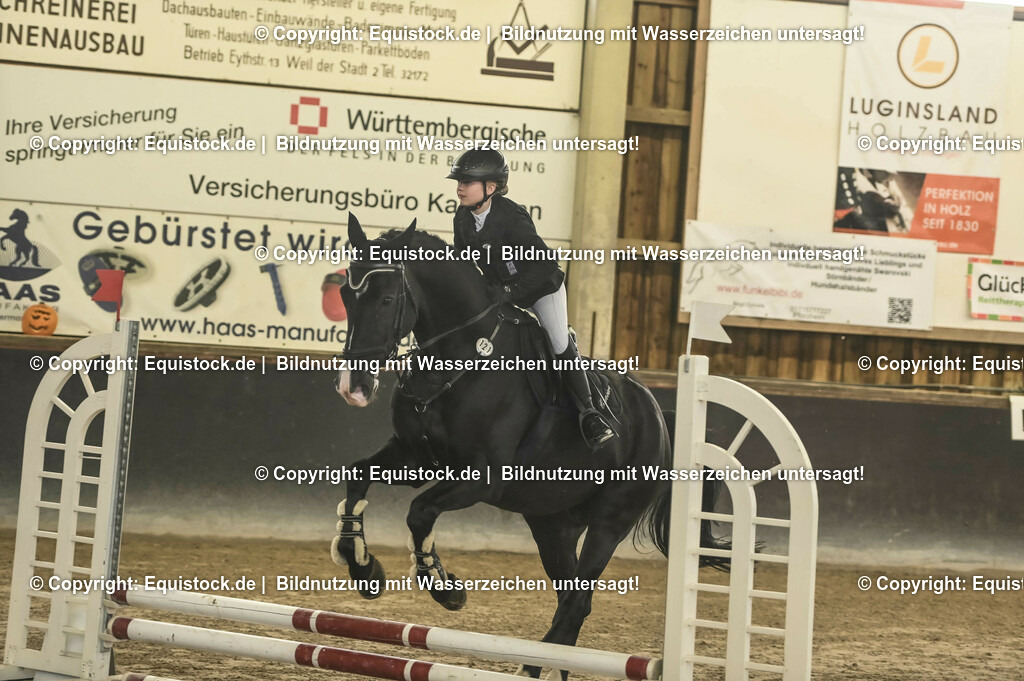 20231029_07_Stilspring-WB-50cm_0023 | Foto: Thomas Hartig