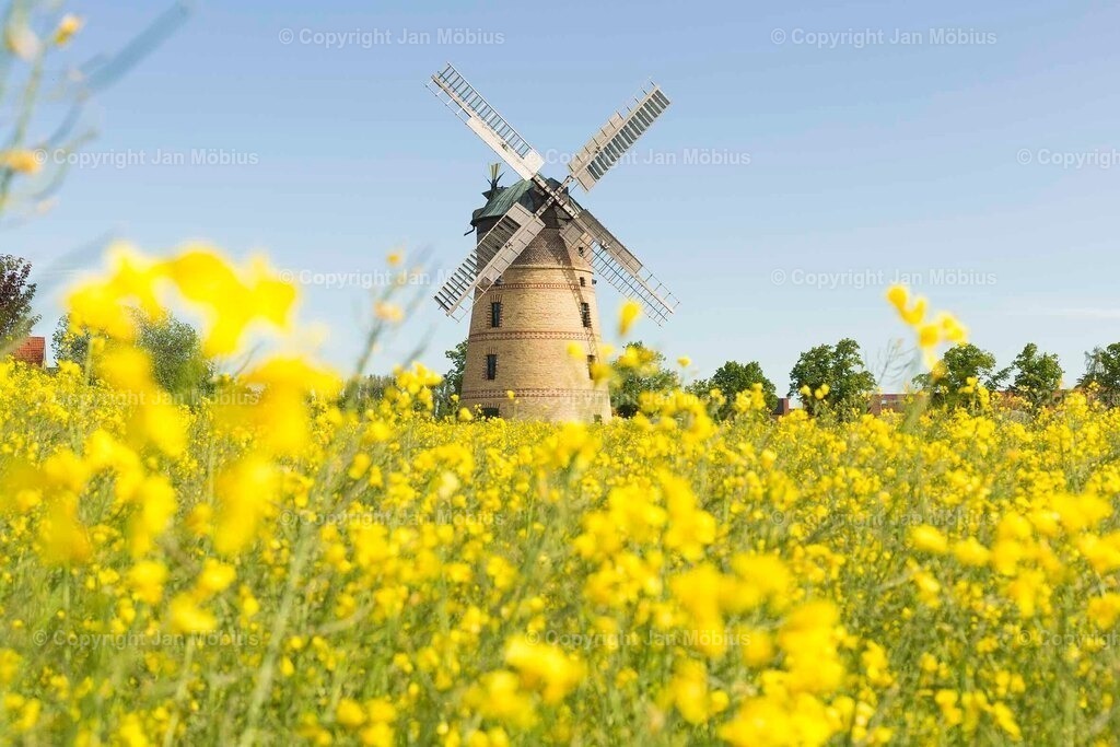 _M5D2473 | Leipzig Wandbilder Drucke Prints Leinwand Stadtmotive Leipzig Fotosdruck Kunstdrucke Bilder Leipzig Stadtansichten Acrylglasbilder Leipzig Wanddeko Fine Art Prints Wandbilder Büro Leipzig Bilder Praxis Zuhause Bilderdruck Poster Posterlounge Kunstdrucke - Realisiert mit Pictrs.com