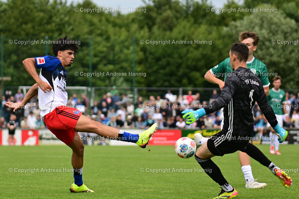 Fußball I Herren I Testspiel  I TSV Elstorf - Hamburger SV I 5.7.2025 | a-hannig - Realisiert mit Pictrs.com