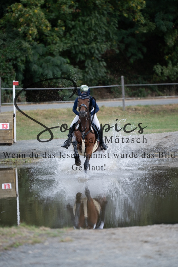 A7V01432 | Pferdefotograf