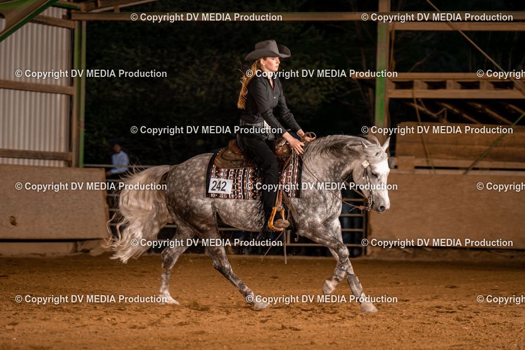 BA301433 | dv-media-shop - Realisiert mit Pictrs.com