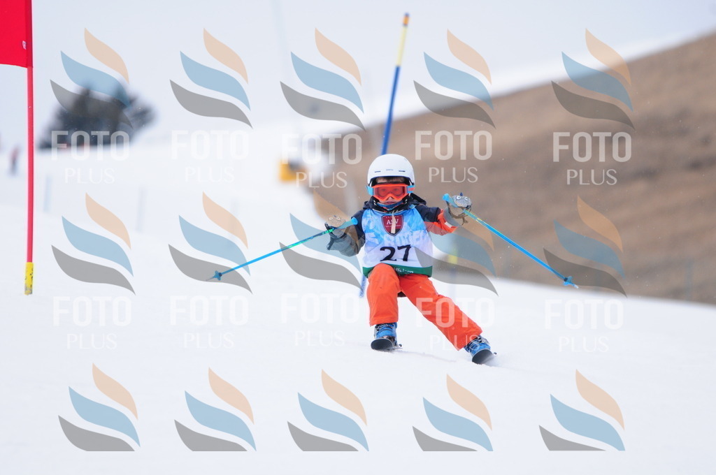 A3441 | holidayphoto