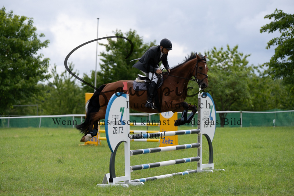 A7V03998 | Pferdefotograf