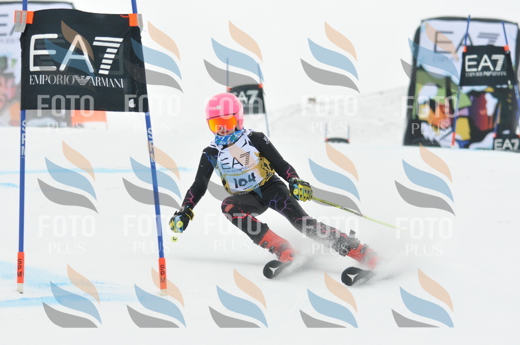 DSC_8087 | holidayphoto