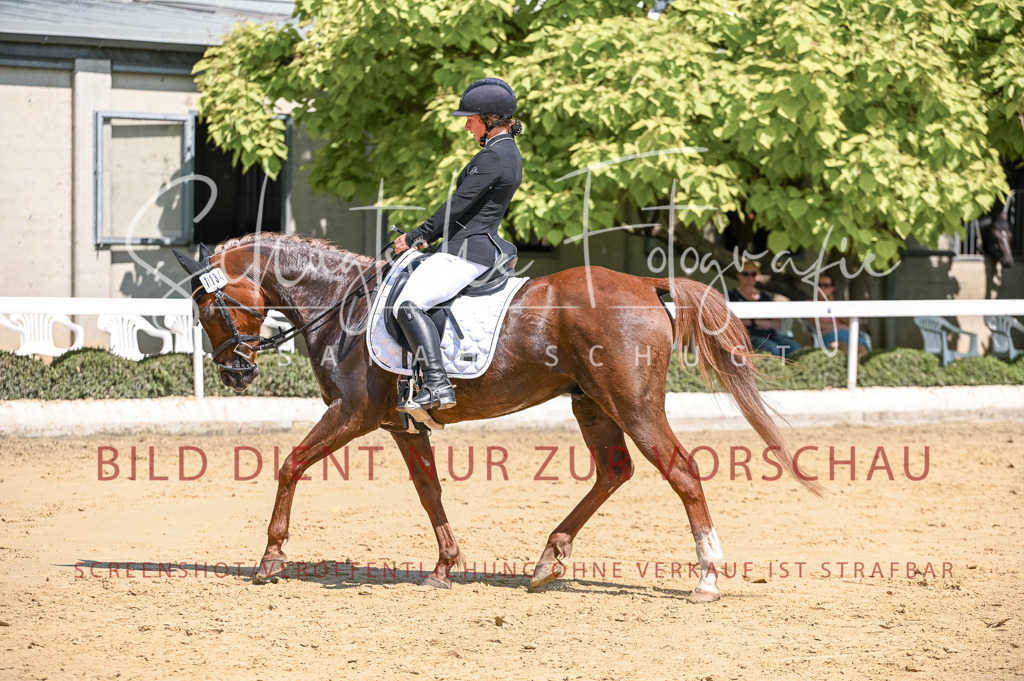 Schugtsche-Aluta25-53.Amat.Dressurprf.A2-207 | Schugtsche Fotografie - Realisiert mit Pictrs.com