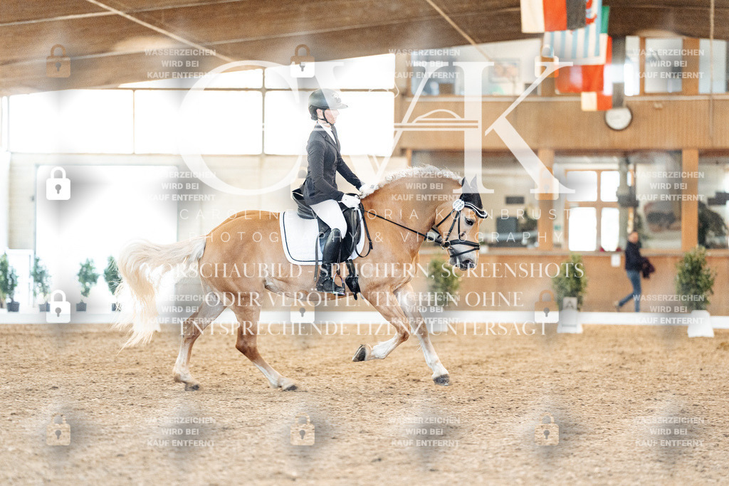 CK907081 | Turnierfotografie Pferdefotografie Trier Rheinland-Pfalz Pferdesport Reitsport Tierfotografie Sportfotografie Pferdevideo Pferdevideografie Equestrianvideography equestrianphotography  - Realisiert mit Pictrs.com