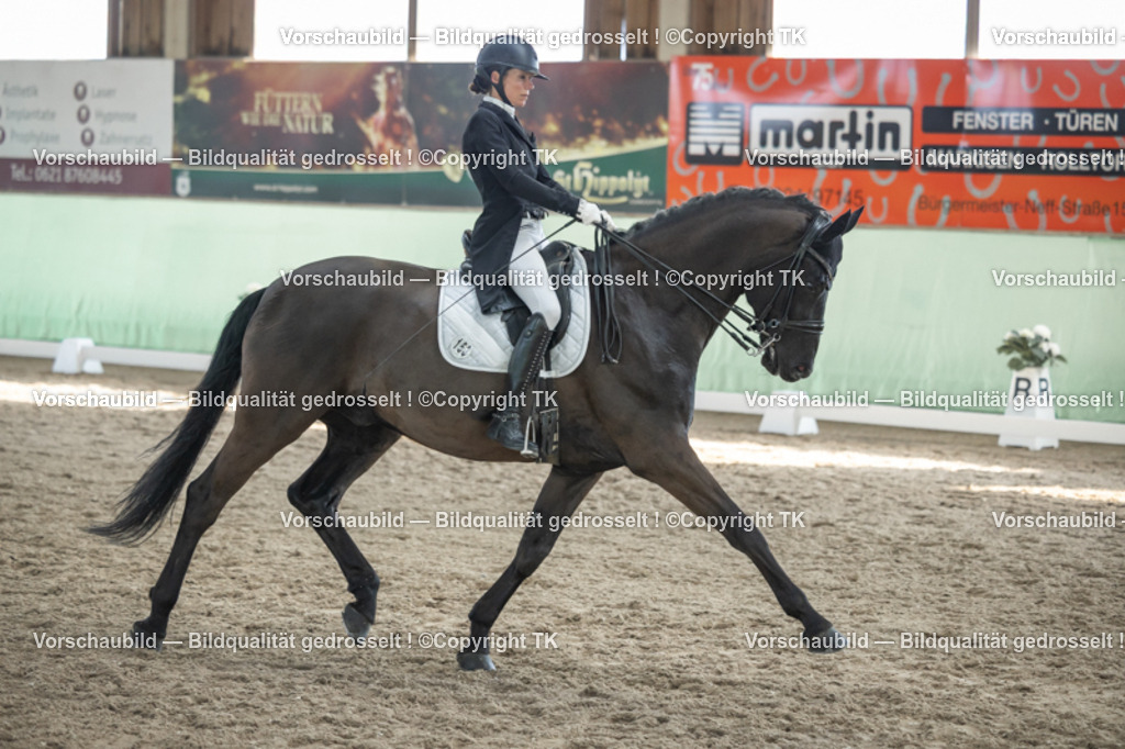 _D5A0344 | Emotionale Pferde- & People-Fotografie rund um Heidelberg, Leimen & Umgebung. Natürliche Fotos von Pferd, Mensch & Familie. Jetzt Termin sichern!