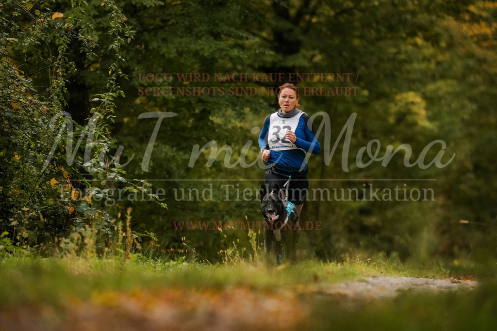 20251005_THS_Turnier-27 | MuT (Mensch und Tier) mit Mona - Fotografie und Tierkommunikation - Realisiert mit Pictrs.com