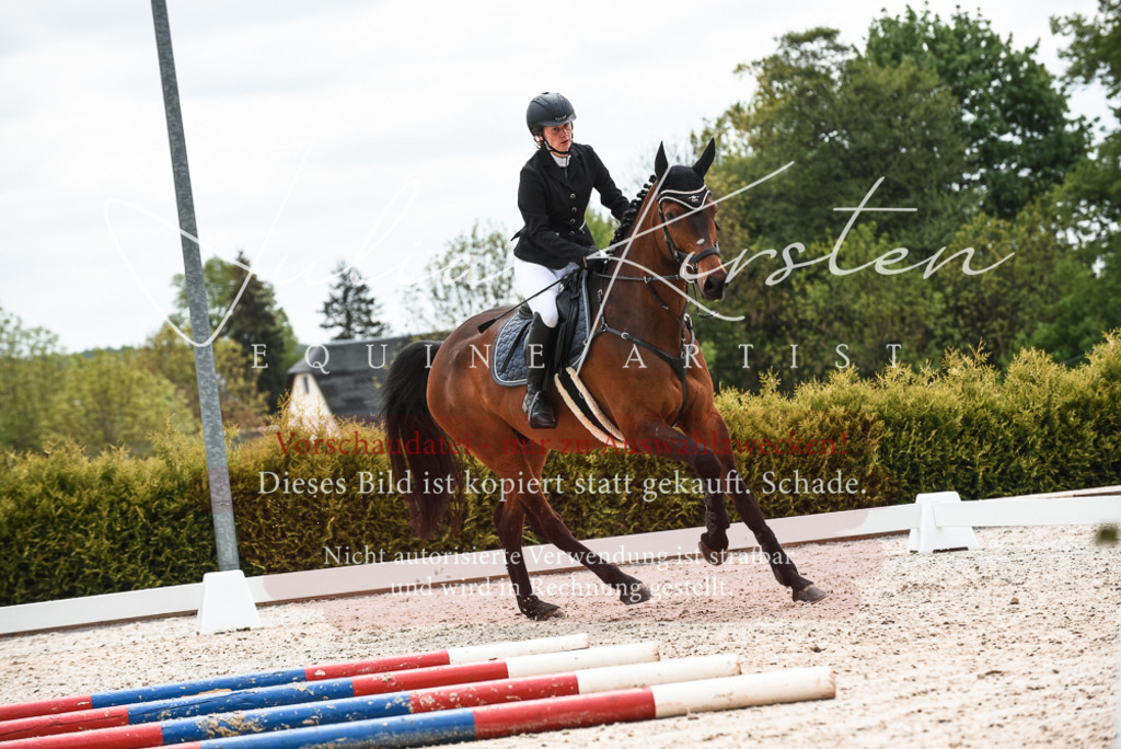 20230518_JK-Röhrsdorf-10-341 | Pferde- und Turnierfotografie in Westsachsen. Pferdeportraits, Auftragszeichnungen und intuitive Kunst.