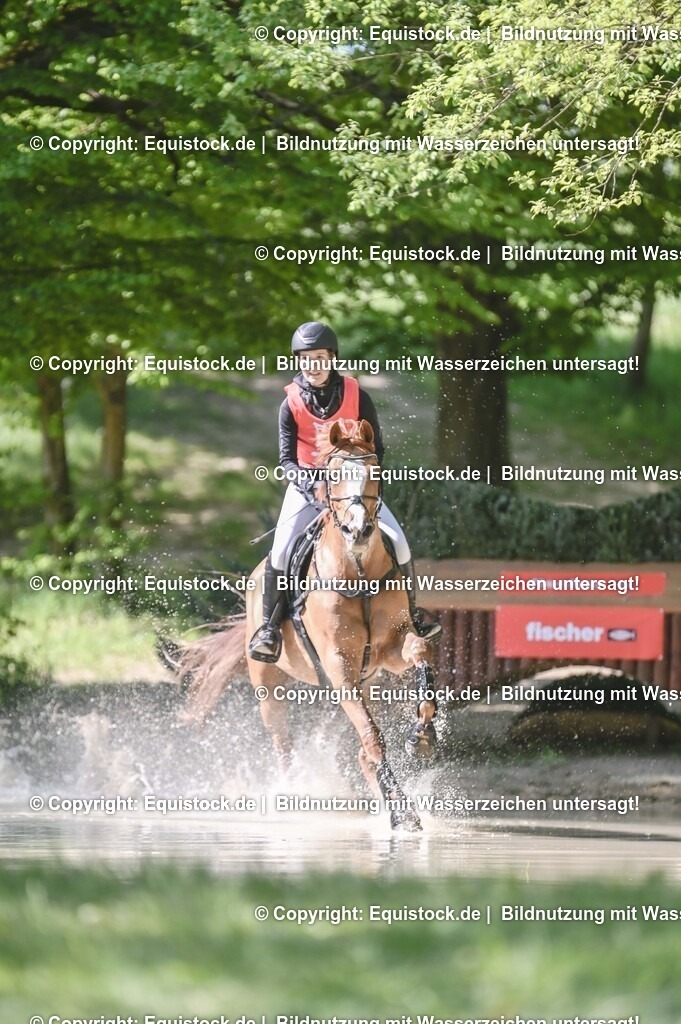 20250517_CCI2_Gelände_0859 | Foto: Thomas Hartig