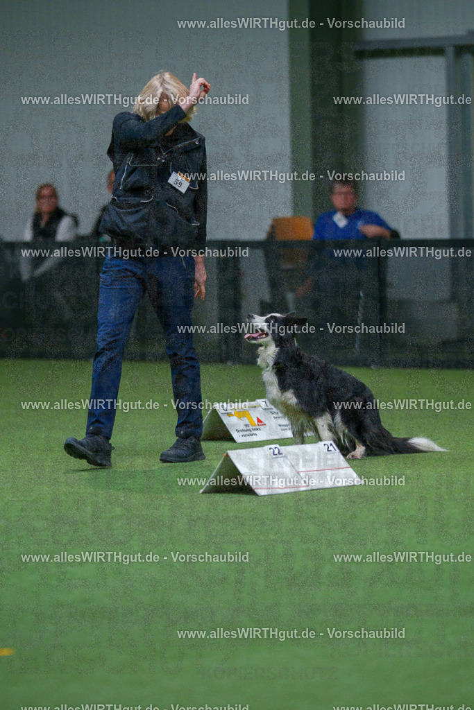 7R502742 | Professionelle Tierfotografie in Mönchengladbach von Daniel Wirth (allesWIRTHgut). Liebevolle & natürliche Bilder von Hunden & Katzen für unvergessliche Erinnerungen.