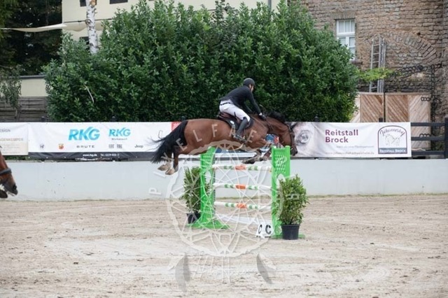 2B4A2597 | pixelfaenger - Realisiert mit Pictrs.com