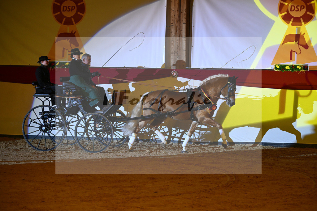 Avici Ass_2242194 | hf-fotografie - Realisiert mit Pictrs.com