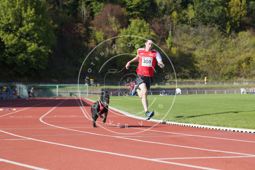 0L8A9606 | Hundefotografie, Tierfotograf, Pfotenfotografie, Fotoshooting Hund, Hunde Portrait, Hundesport, Hundeportraits, Heideshooting, Hunde, Sportfotograf, Hundefotograf, Turnierhundsport, THS,  - Realisiert mit Pictrs.com