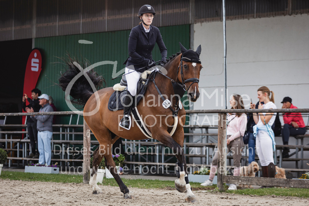 250627_PfSpTa_Stil-A1-219 | Deine schönsten Turniermomente als professionelle Fotos! Entdecke hochwertige Pferdesport-Fotografie im Online-Shop. Jetzt Fotos finden & bestellen!