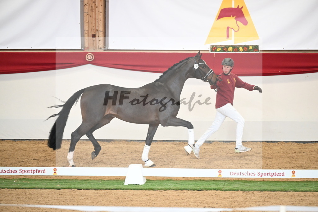 Kat.-Nr. 63 v. Foundation_Schafhof _ Jäckel_2250432 | hf-fotografie - Realisiert mit Pictrs.com