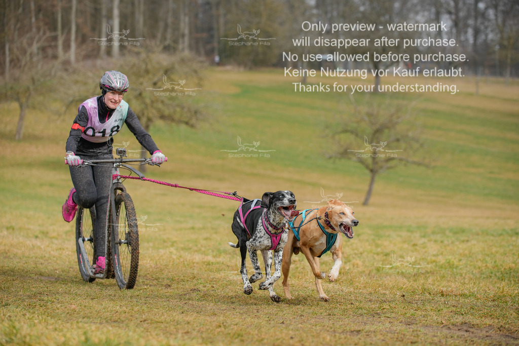 Sa_Scooter2-32 | stephaniefillaphotographie - Realisiert mit Pictrs.com