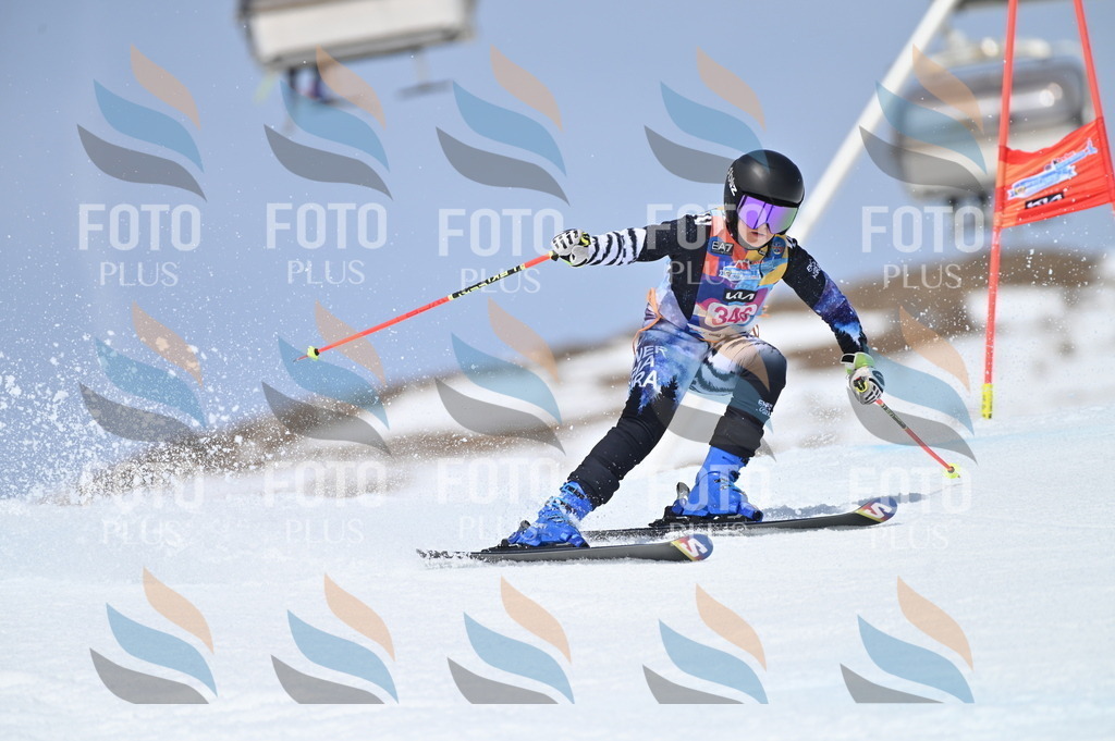 BGV_3560 | holidayphoto