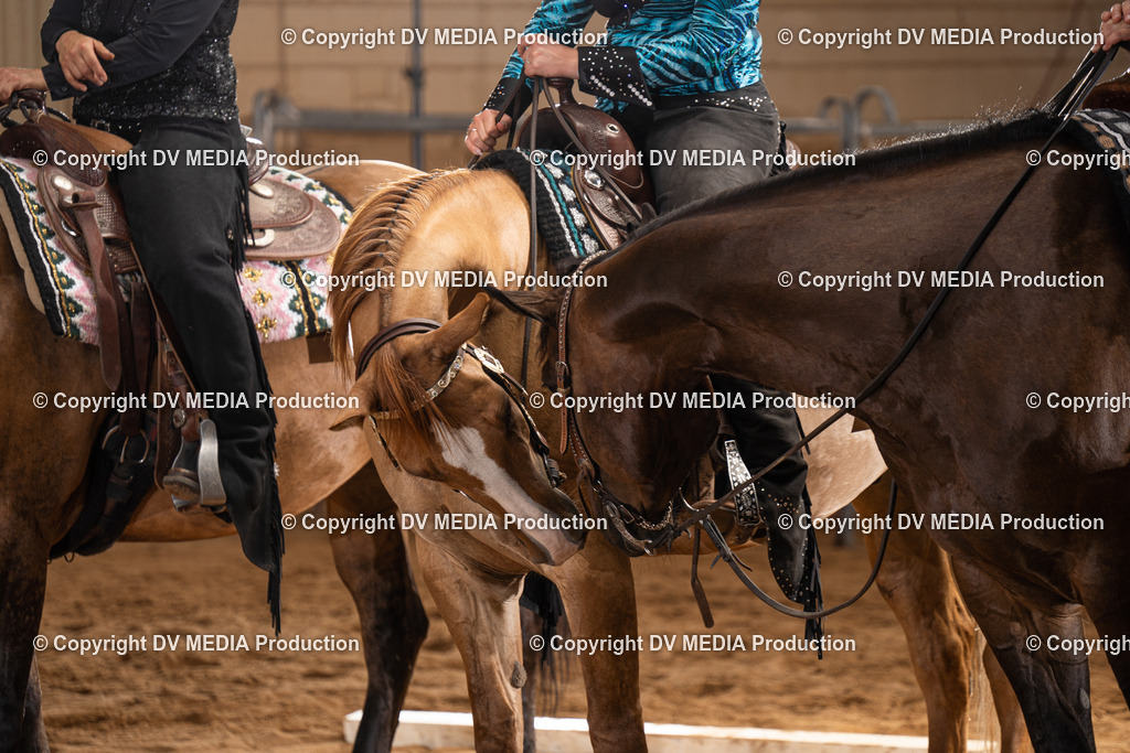 NID00603 | dv-media-shop - Realisiert mit Pictrs.com