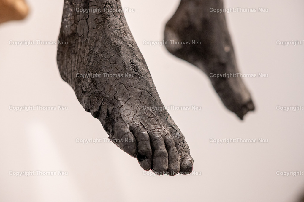 DSC_9220 | Museum Bensheim, Ausstellung Jochen Walpoth, 