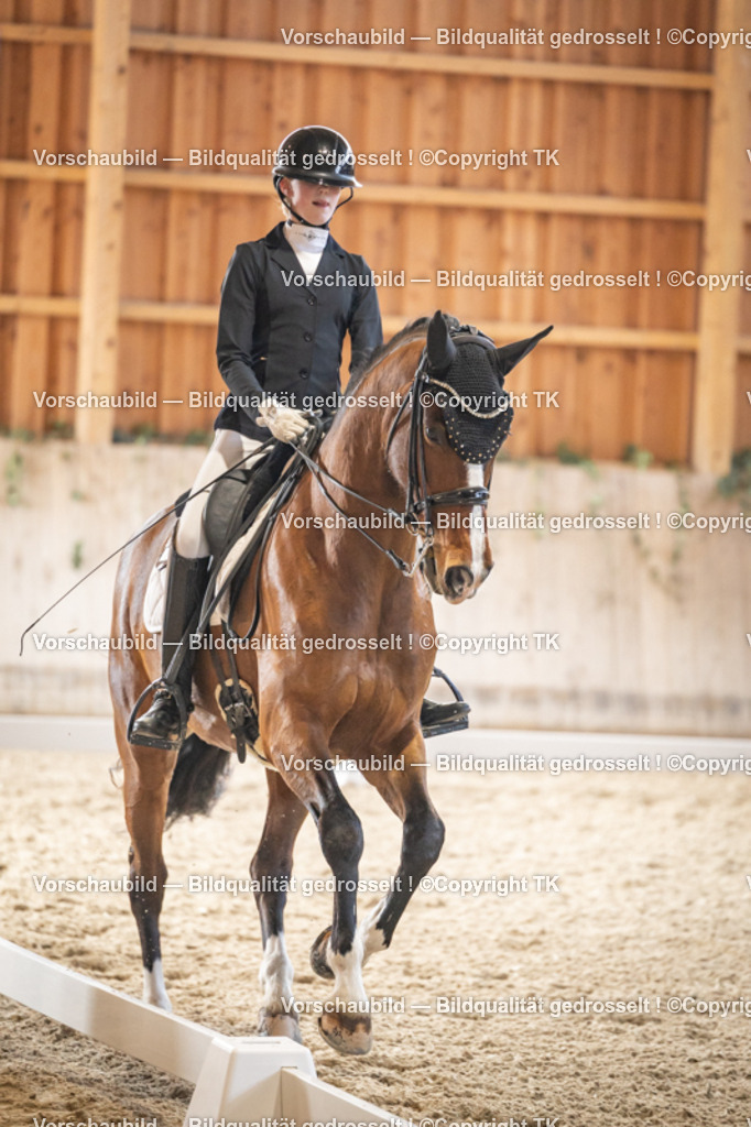 _D5A9009 | Emotionale Pferde- & People-Fotografie rund um Heidelberg, Leimen & Umgebung. Natürliche Fotos von Pferd, Mensch & Familie. Jetzt Termin sichern!