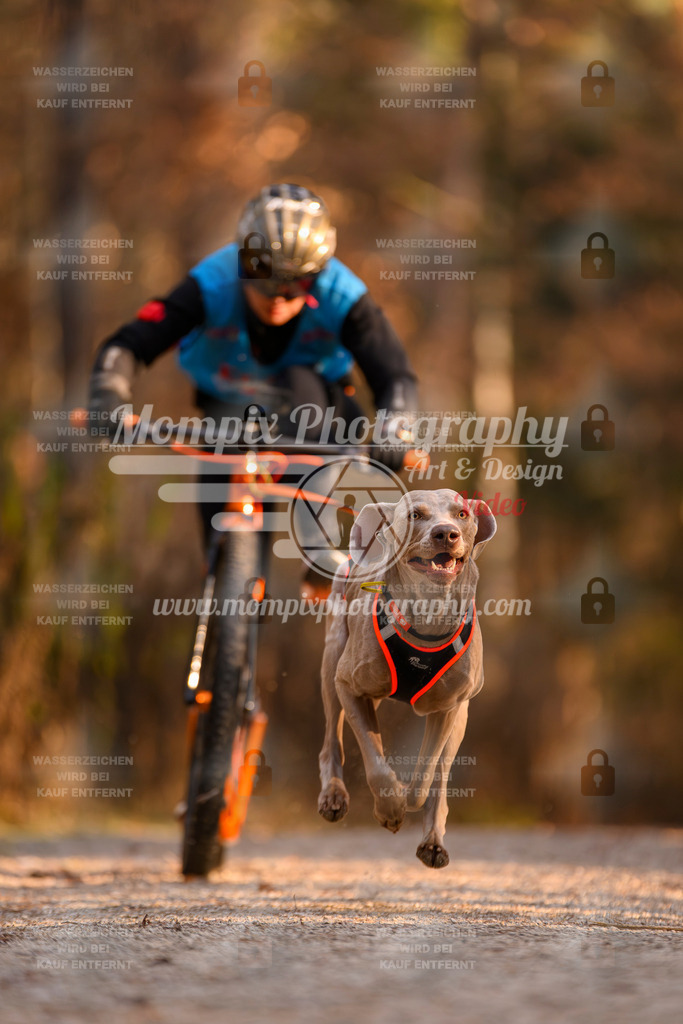 MompixPhotography_DM_AKDM_SO_2025_Scooter-189 | PayLife