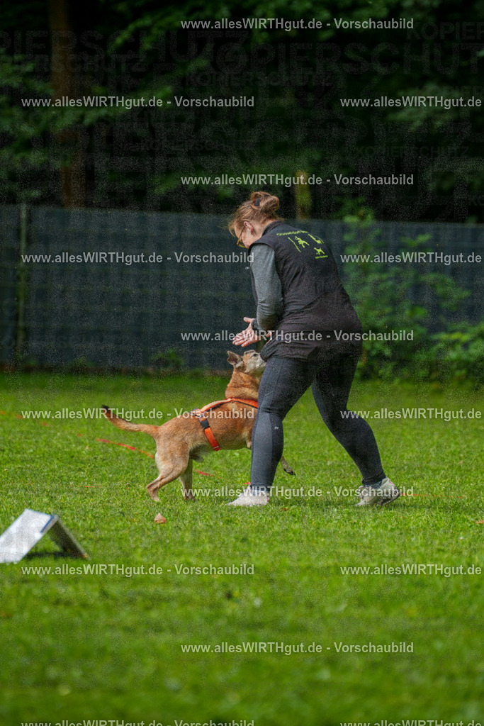 @allesWIRTHgut_Tierfotografie - www.allesWIRTHgut.de - 7R502080 | Professionelle Tierfotografie in Mönchengladbach von Daniel Wirth (allesWIRTHgut). Liebevolle & natürliche Bilder von Hunden & Katzen für unvergessliche Erinnerungen.