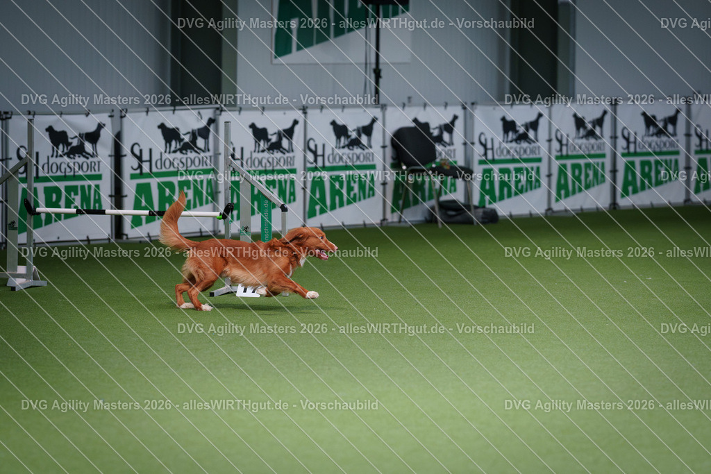 allesWIRTHgut_Tierfotografie-DVG_Agility_Masters_2026-10_19-7R500300 | Professionelle Tierfotografie in Mönchengladbach von Daniel Wirth (allesWIRTHgut). Liebevolle & natürliche Bilder von Hunden & Katzen für unvergessliche Erinnerungen.