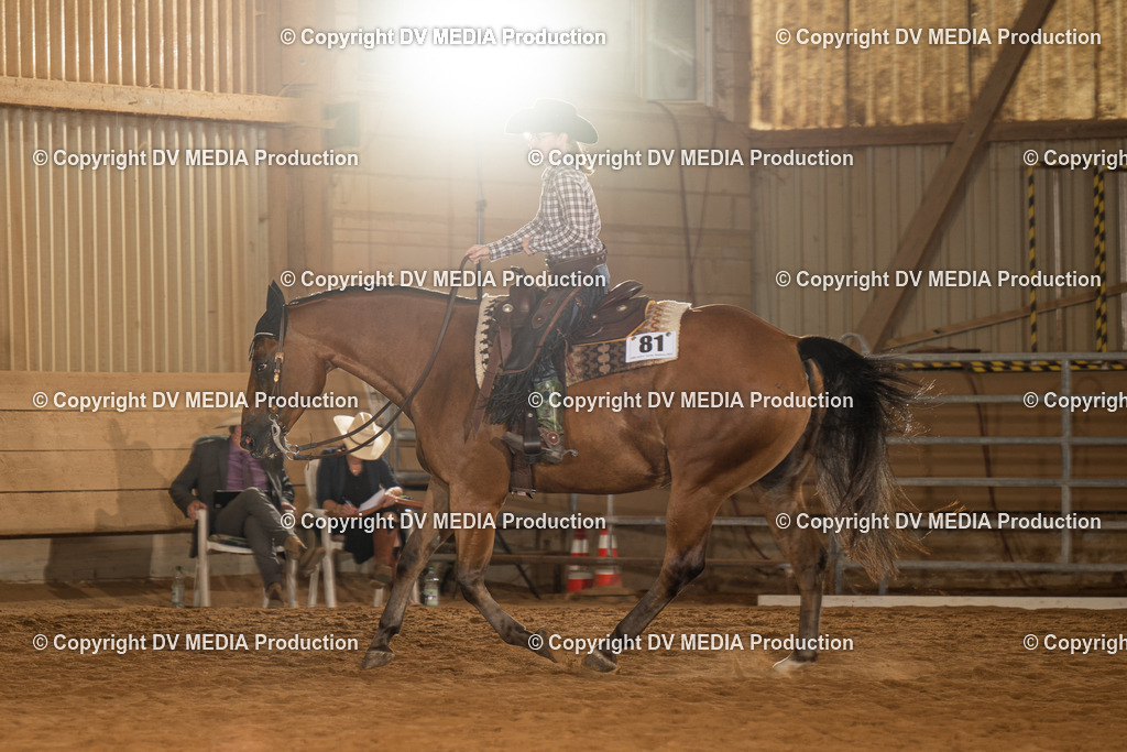 NID01494 | dv-media-shop - Realisiert mit Pictrs.com