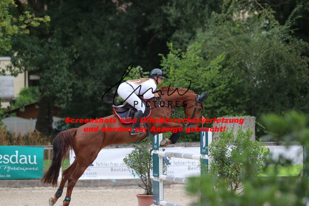 IMG_8091 | lmwpictures - Realisiert mit Pictrs.com